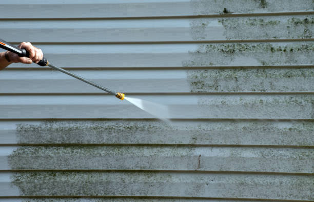 Best Commercial Mold Removal  in K I Sawyer, MI